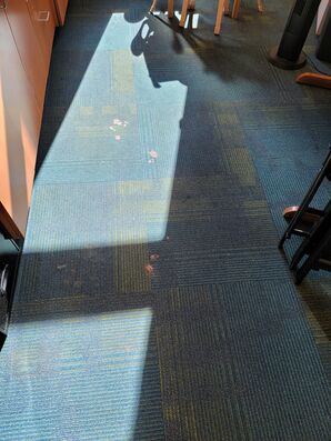 Before & After Commercial Carpet Cleaning in Metairie, LA (1)