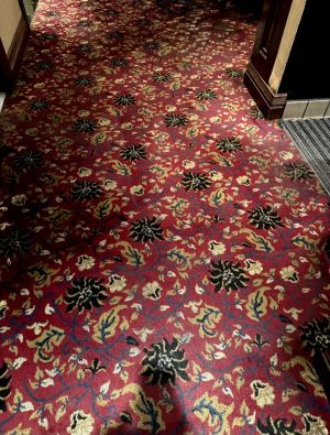 Commercial Carpet Cleaning in Metairie, LA (2)