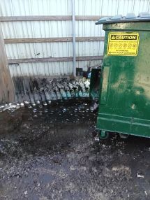 Dumpster Pad Cleaning