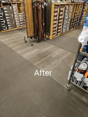 Before & After Carpet Cleaning in Metairie, LA (2)