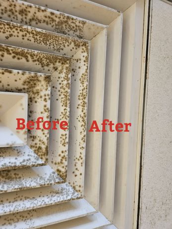 Before & After High Dusting in New Orleans, LA (1)