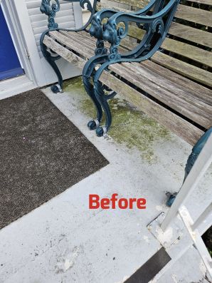 Before & After Pressure Washing in New Orleans, LA (1)