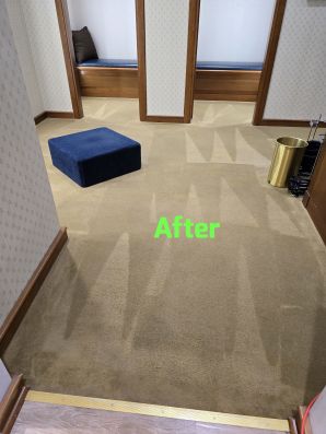 Commercial Carpet Cleaning in New Orleans, LA (2)