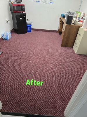 Carpet Cleaning in Houma, LA (2)