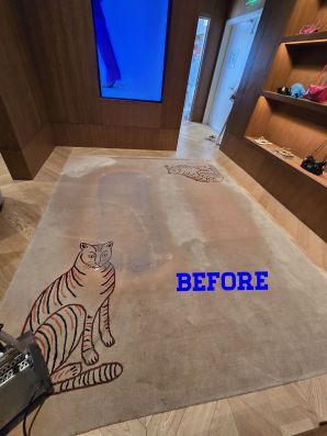 Carpet Cleaning in Metairie, LA (1)