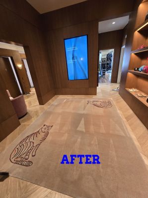 Carpet Cleaning in Metairie, LA (2)