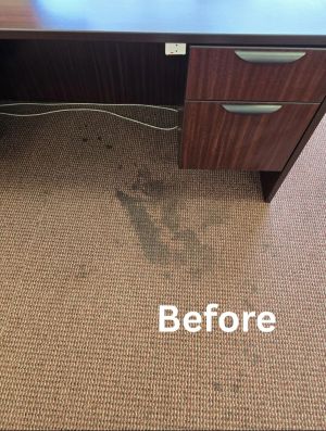 Commercial Carpet Cleaning in Metairie, LA (1)