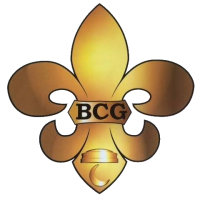 BCG Management LLC